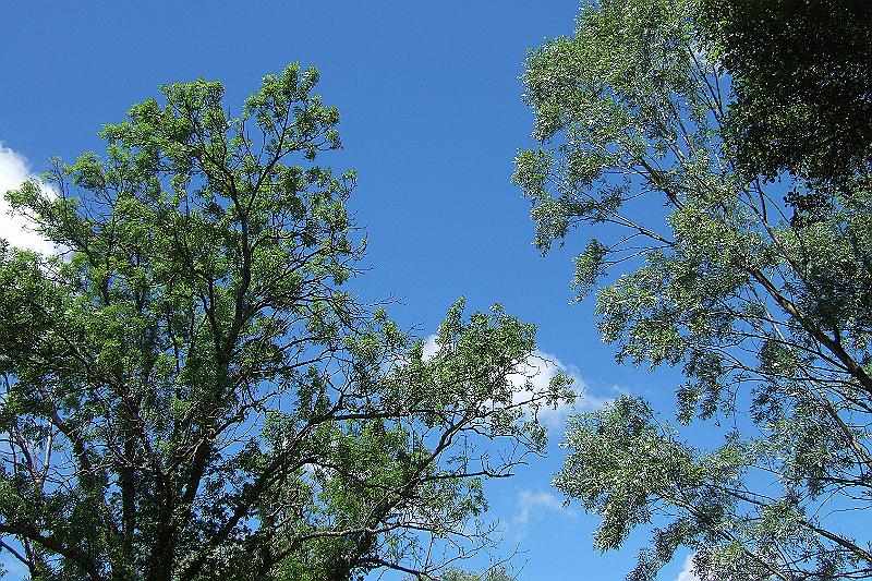 2010-06- (126).JPG